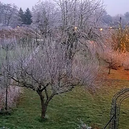Maisonbleue67 Bed & Breakfast