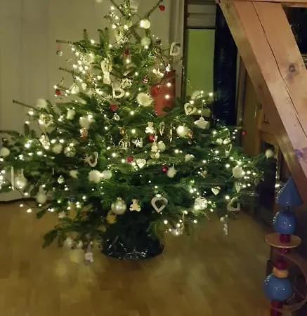 ベッド・アンド・ブレックファスト Maisonbleue67 3*