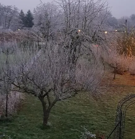 Maisonbleue67 ベッド・アンド・ブレックファスト 3*