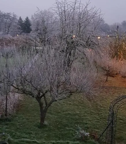 Maisonbleue67 Frühstückspension 3*